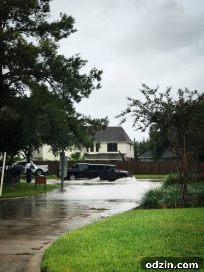 The Devastating Effects of Hurricane Harvey on Houston and it's surrounding areas | littlespicejar.com