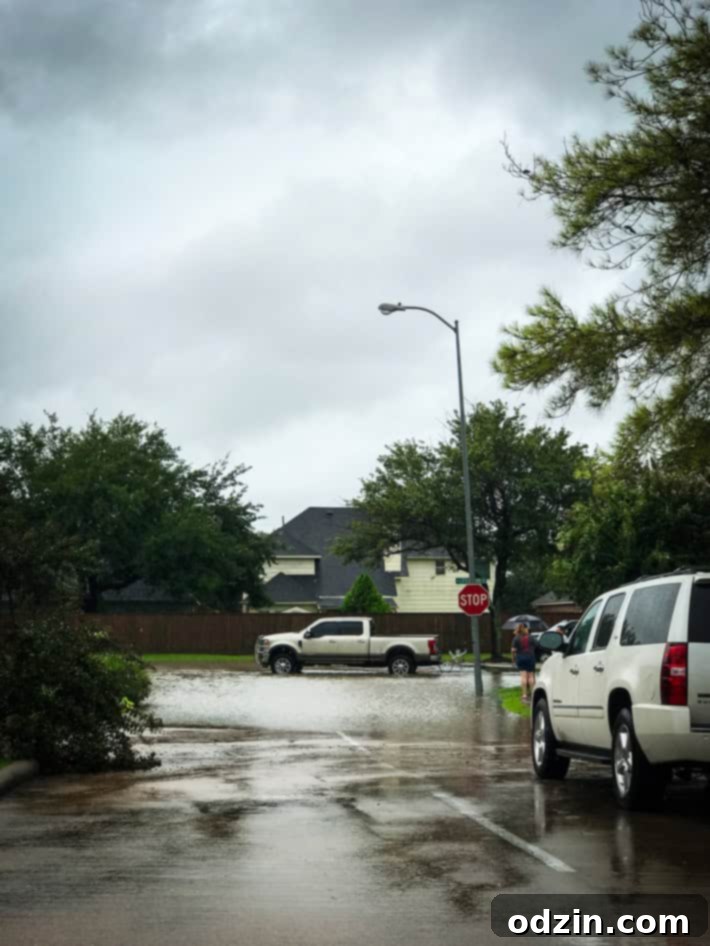 The Devastating Effects of Hurricane Harvey on Houston and it's surrounding areas | littlespicejar.com