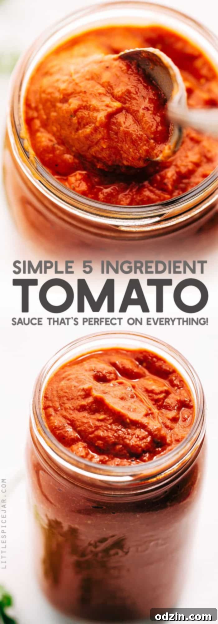 Rustic Tomato Sauce Recipe Delicious homemade roasted tomato sauce with basil garnish