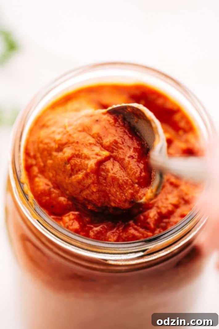 Homemade Rustic Tomato Sauce Close-up of rustic roasted tomato sauce texture