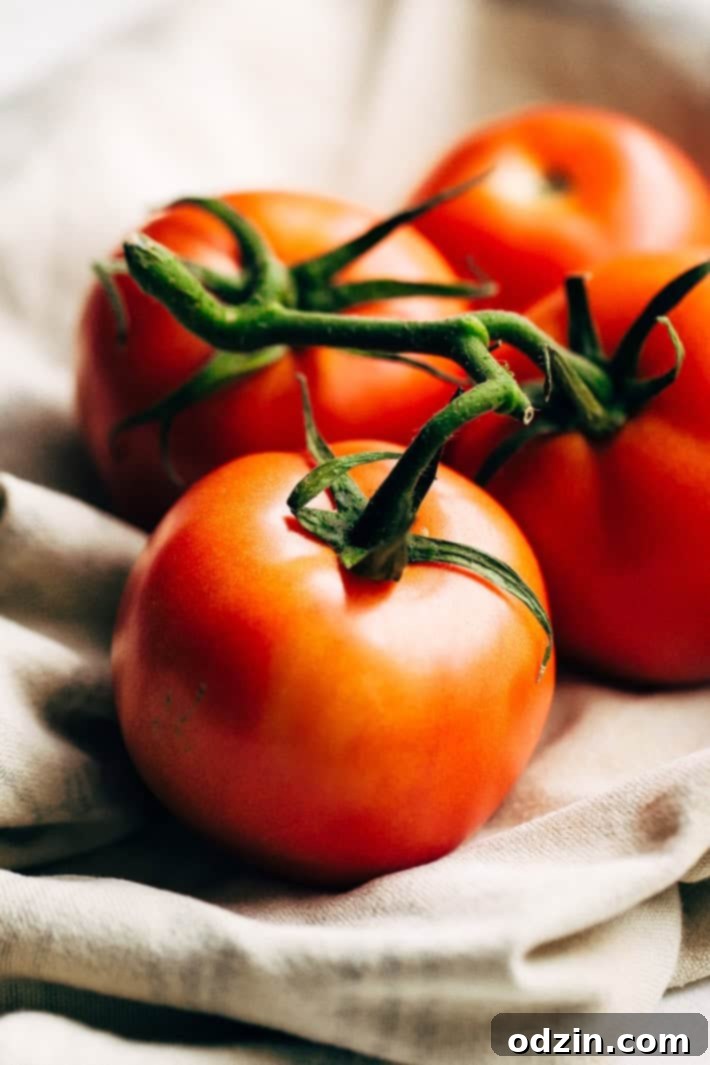 Roasted Tomatoes and Garlic for Sauce Simple 5-ingredient homemade tomato sauce ready for blending