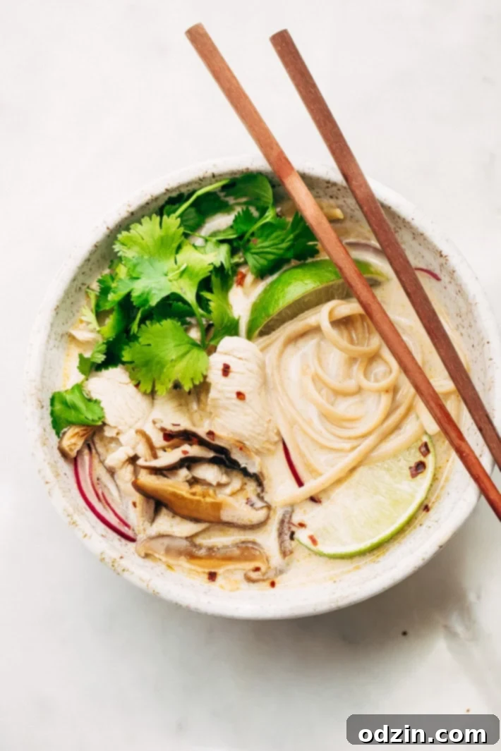 Creamy Comforting Thai Chicken Coconut Noodle Soup