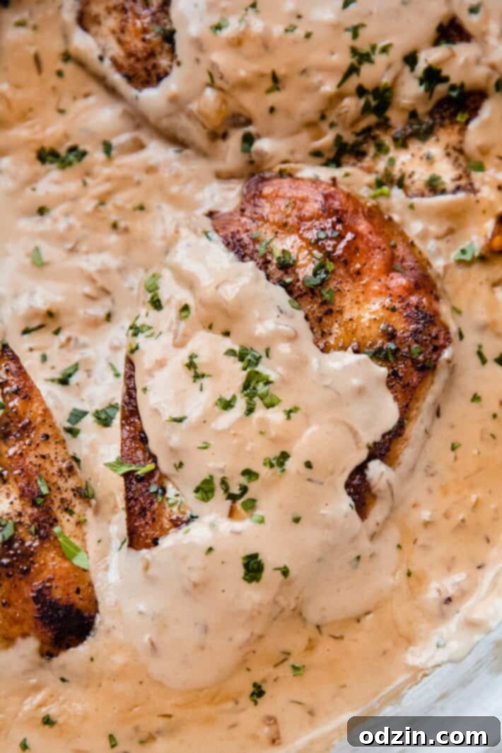 close up of chicken breast in balsamic onion cream sauce
