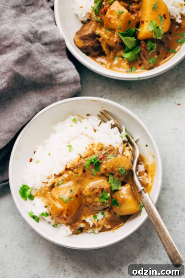 Homemade Thai Massaman Curry Paste - A quick 15 minute paste that's perfect to use in all kinds of curries! This can also be made vegan/vegetarian friendly. #massamancurry #homemadecurrypaste #thaicurry #massamancurrypaste | Littlespicejar.com Close-up of vibrant homemade Massaman curry paste, showcasing its rich texture and color.