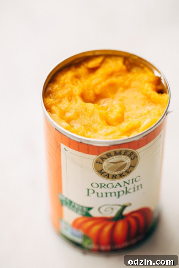 Sage Brown Butter Healthier Pumpkin Alfredo - a homemade pumpkin alfredo with a cashew cream sauce! So good as a side or as a main dish! #healthierpumpkinalfredo #pumpkin #pumpkinalfredo #cashewcreamsauce | Littlespicejar.com