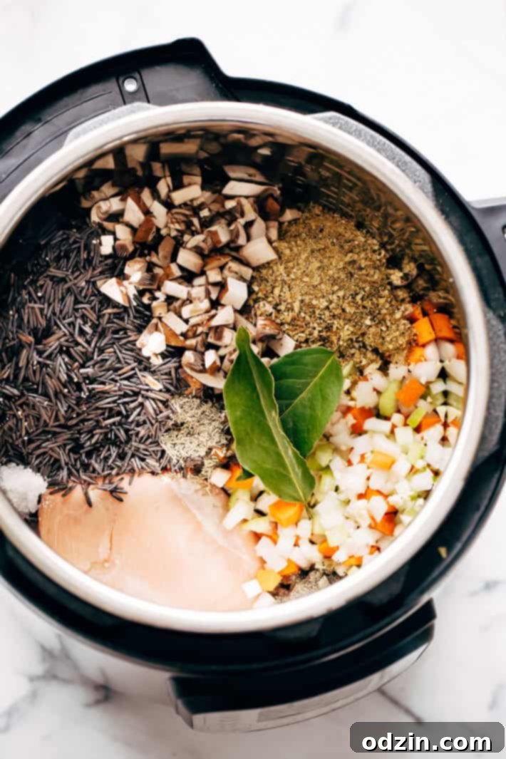 Instant Pot Chicken Wild Rice Soup - this soup is warm and filling and takes 45 minutes to make from start to finish! #instantpot #pressurecooker #soup #chickenwildricesoup #wildricesoup | Littlespicejar.com Instant Pot Chicken Wild Rice Soup - this soup is warm and filling and takes 45 minutes to make from start to finish! #instantpot #pressurecooker #soup #chickenwildricesoup #wildricesoup | Littlespicejar.com