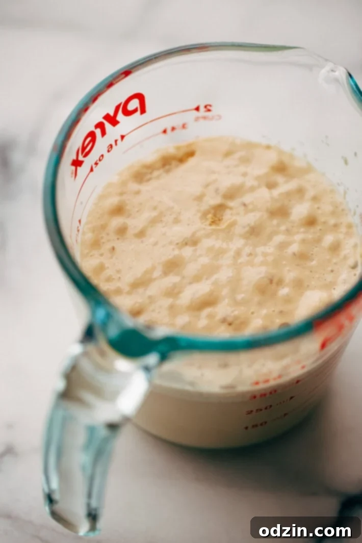 yeast mixture for focaccia