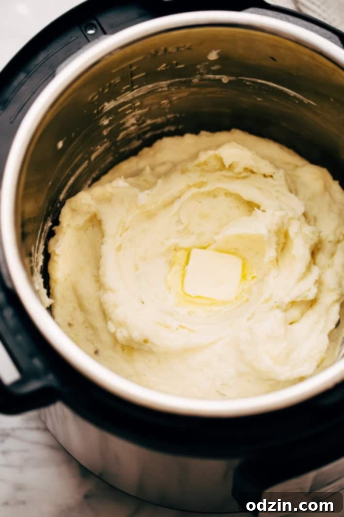 20 Minute Garlic Herb Instant Pot Mashed Potatoes