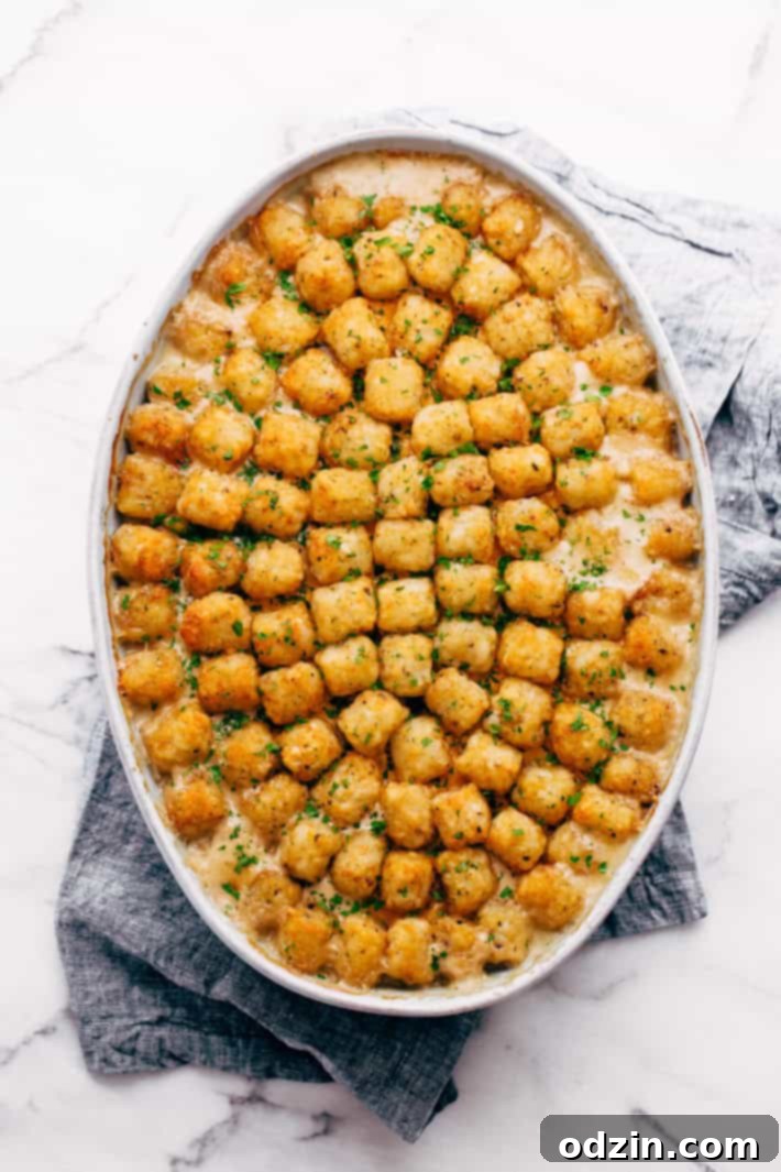 Baked Chicken Pot Tater Tot Hotdish - Golden brown tater tots topping a bubbling, cheesy chicken and vegetable casserole, fresh out of the oven.