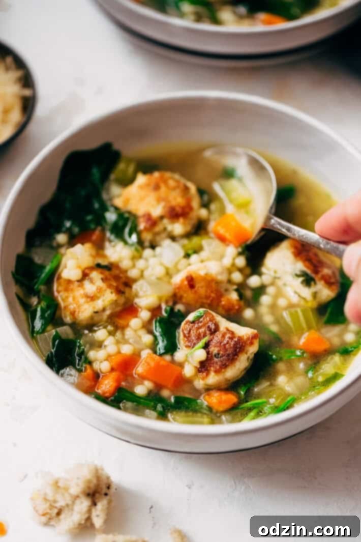 Closeup of Italian Wedding Soup with rich broth and fresh ingredients