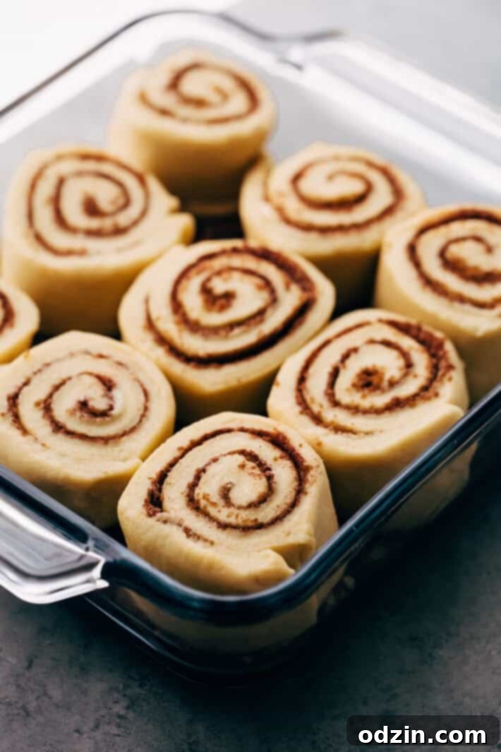 Sprinkling cinnamon sugar over buttered sticky bun dough