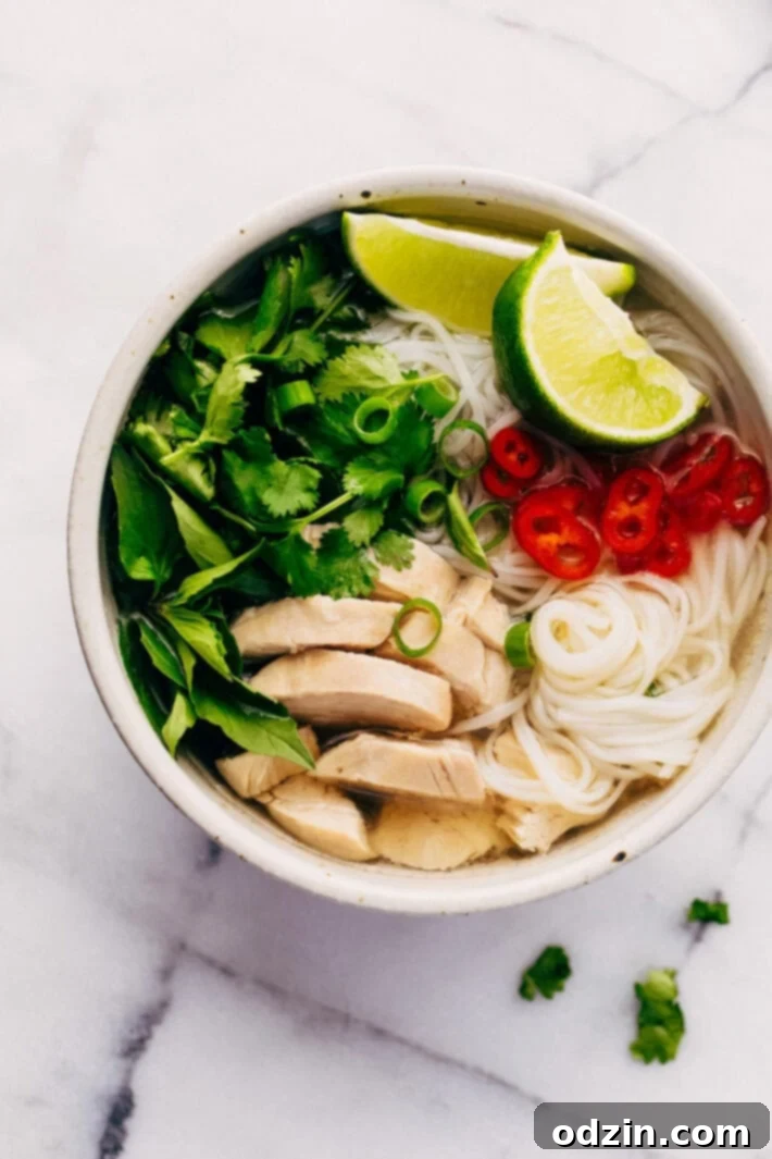 Instant Pot Chicken Pho Noodle Soup (Pho Ga) - Learn how to make chicken pho in your instant pot! This soup has tons of aromatics and is delicious! #instantpot #pressurecooker #chickenpho #phoga #instantpotchickenpho | Littlespicejar.com