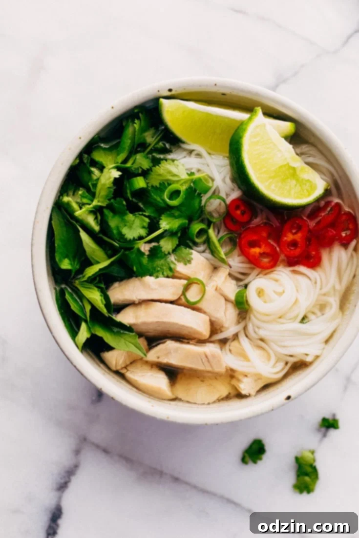 Instant Pot Chicken Pho Noodle Soup (Pho Ga)