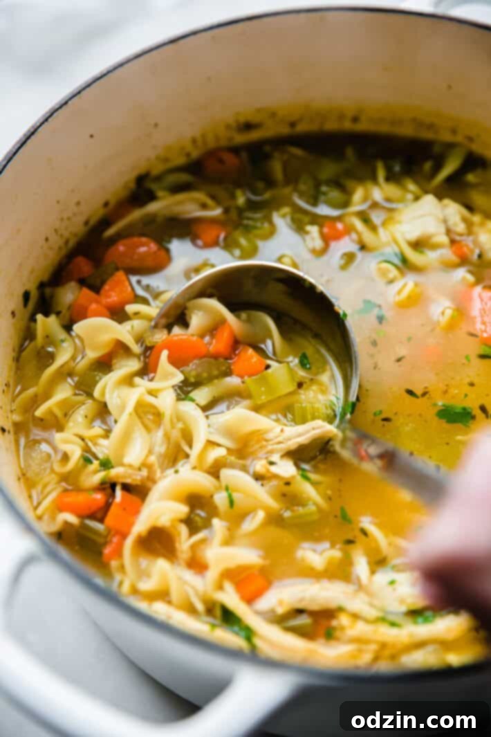 Warmth in a Bowl: Chicken Noodle Soup for Colds 3 chicken noodle soup in cast iron pot with ladle