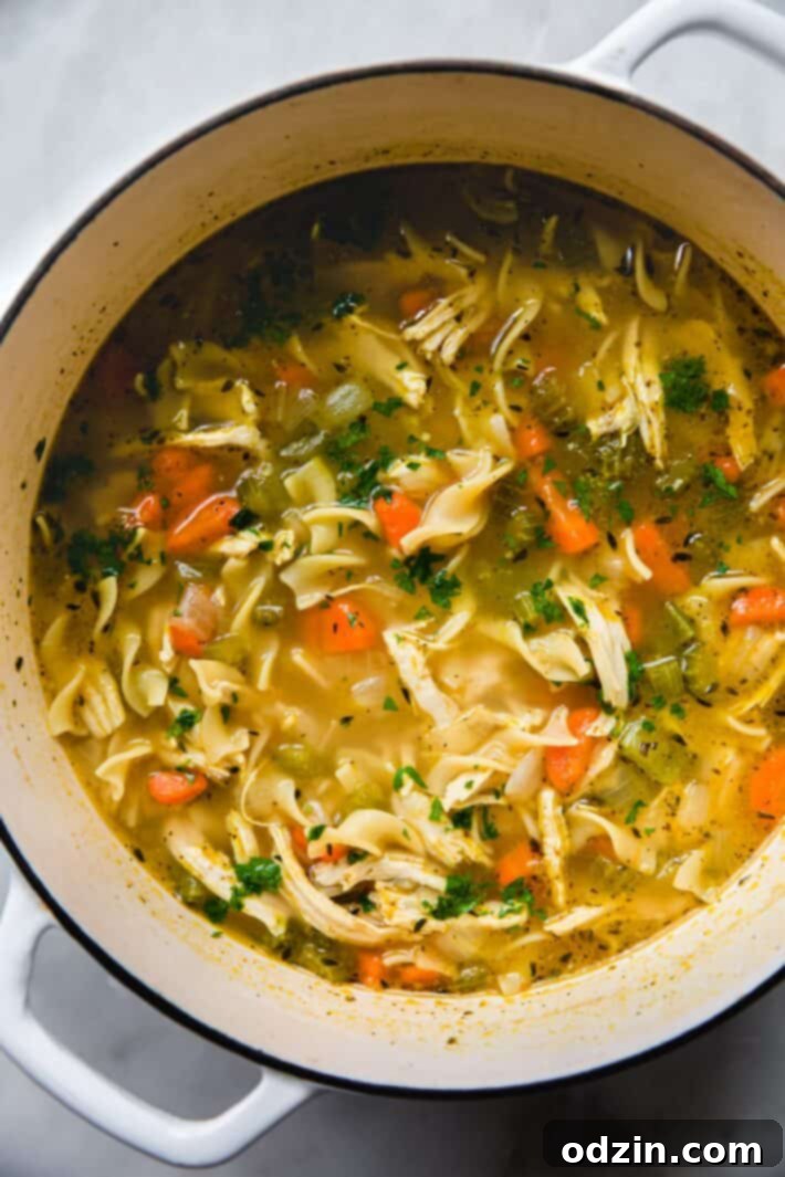 Warmth in a Bowl: Chicken Noodle Soup for Colds 4 dutch oven filled with chicken soup topped with parsley