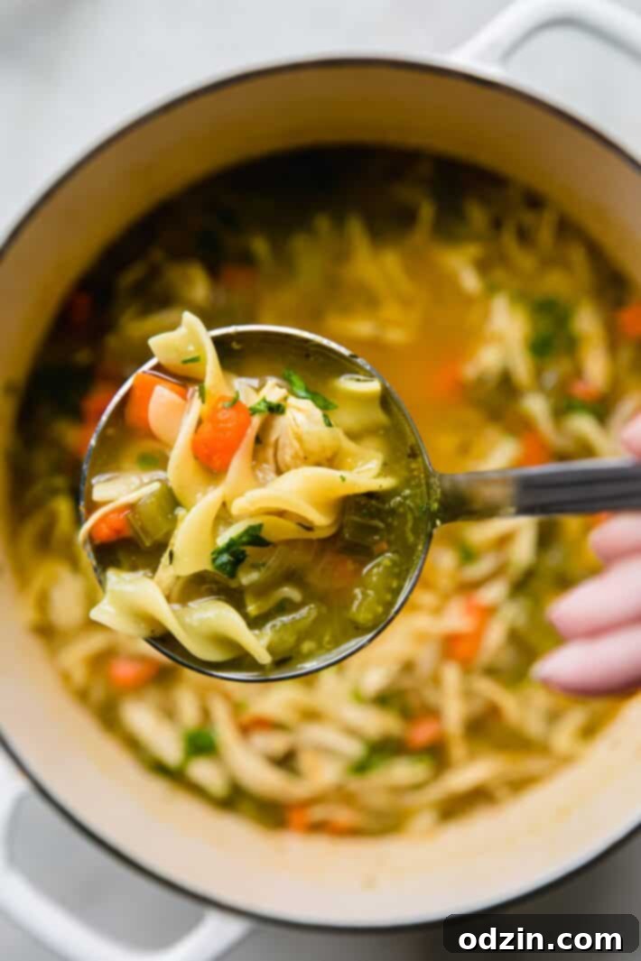 Warmth in a Bowl: Chicken Noodle Soup for Colds 5 ladle of soup over soup pot