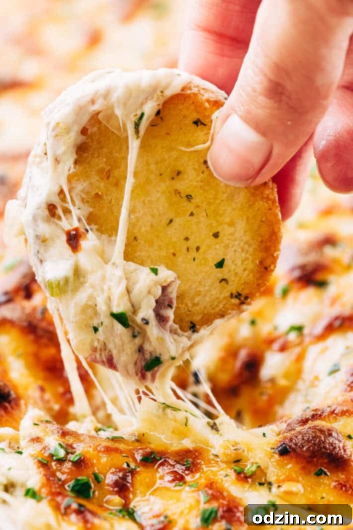 Baked Philly Cheese Steak Dip Freshly baked Philly Cheese Steak Dip with golden, bubbly cheese top