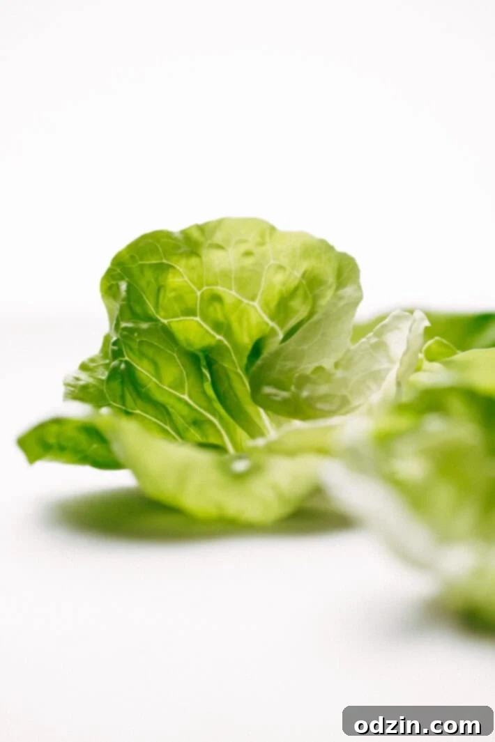 Springtime Basil Chicken Lettuce Wraps - basil chicken stuffed in lettuce wraps with garlic, red chilies, and sweet pineapple to tame that heat! The perfect protein-packed, low carb meal! #lettucewraps #thaibasilchicken #basilchicken #chickenlettucewraps | Littlespicejar.com