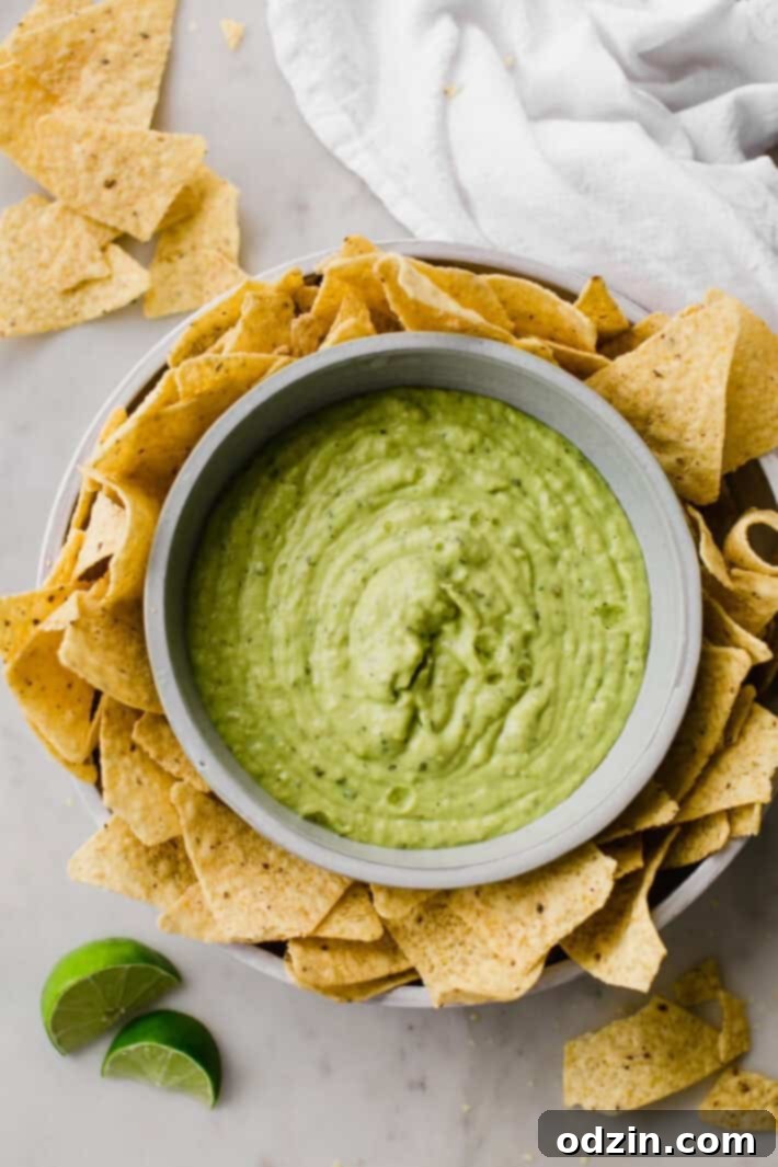 Creamy Guacamole Salsa - An easy avocado dip that tastes just like Mama Ninfa's Green Sauce. Serve with chips or dollop on tacos! #greensauce #mamaninfas #avocadodip #guacamolesalsa | Littlespicejar.com Creamy Guacamole Salsa - An easy avocado dip that tastes just like Mama Ninfa's Green Sauce. Serve with chips or dollop on tacos! #greensauce #mamaninfas #avocadodip #guacamolesalsa | Littlespicejar.com