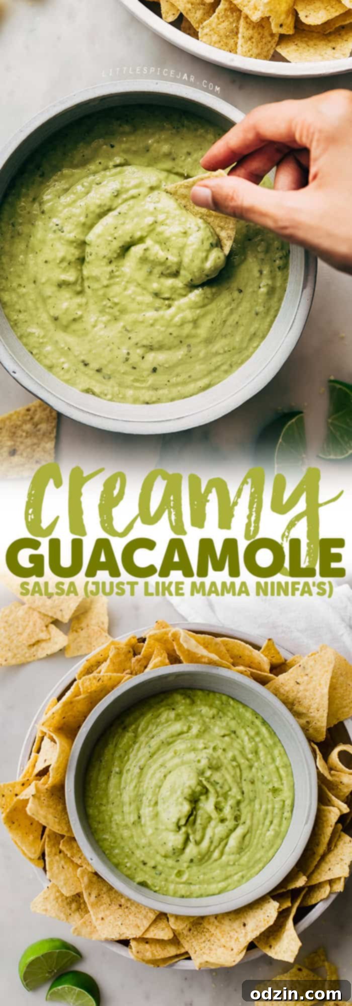 Creamy Guacamole Salsa - An easy avocado dip that tastes just like Mama Ninfa's Green Sauce. Serve with chips or dollop on tacos! #greensauce #mamaninfas #avocadodip #guacamolesalsa | Littlespicejar.com Creamy Guacamole Salsa - An easy avocado dip that tastes just like Mama Ninfa's Green Sauce. Serve with chips or dollop on tacos! #greensauce #mamaninfas #avocadodip #guacamolesalsa | Littlespicejar.com