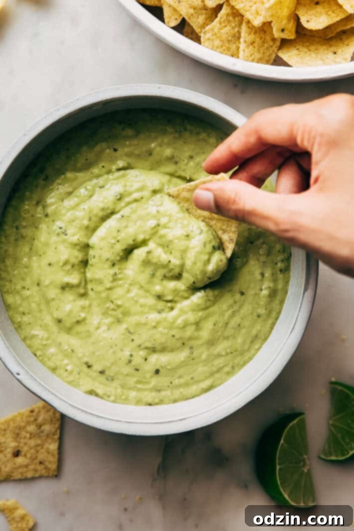 Creamy Guacamole Salsa - An easy avocado dip that tastes just like Mama Ninfa's Green Sauce. Serve with chips or dollop on tacos! #greensauce #mamaninfas #avocadodip #guacamolesalsa | Littlespicejar.com Creamy Guacamole Salsa - An easy avocado dip that tastes just like Mama Ninfa's Green Sauce. Serve with chips or dollop on tacos! #greensauce #mamaninfas #avocadodip #guacamolesalsa | Littlespicejar.com