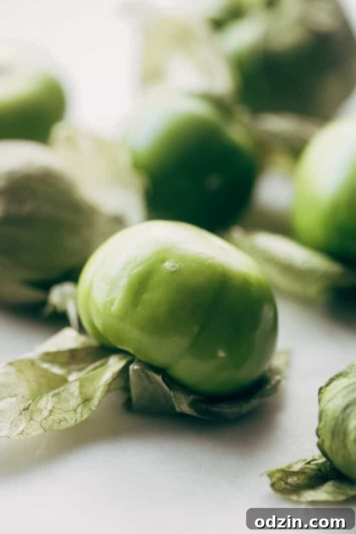 Creamy Guacamole Salsa - An easy avocado dip that tastes just like Mama Ninfa's Green Sauce. Serve with chips or dollop on tacos! #greensauce #mamaninfas #avocadodip #guacamolesalsa | Littlespicejar.com Creamy Guacamole Salsa - An easy avocado dip that tastes just like Mama Ninfa's Green Sauce. Serve with chips or dollop on tacos! #greensauce #mamaninfas #avocadodip #guacamolesalsa | Littlespicejar.com