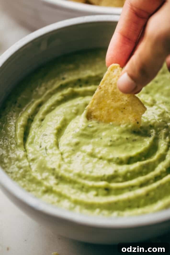 Creamy Guacamole Salsa - An easy avocado dip that tastes just like Mama Ninfa's Green Sauce. Serve with chips or dollop on tacos! #greensauce #mamaninfas #avocadodip #guacamolesalsa | Littlespicejar.com Creamy Guacamole Salsa - An easy avocado dip that tastes just like Mama Ninfa's Green Sauce. Serve with chips or dollop on tacos! #greensauce #mamaninfas #avocadodip #guacamolesalsa | Littlespicejar.com