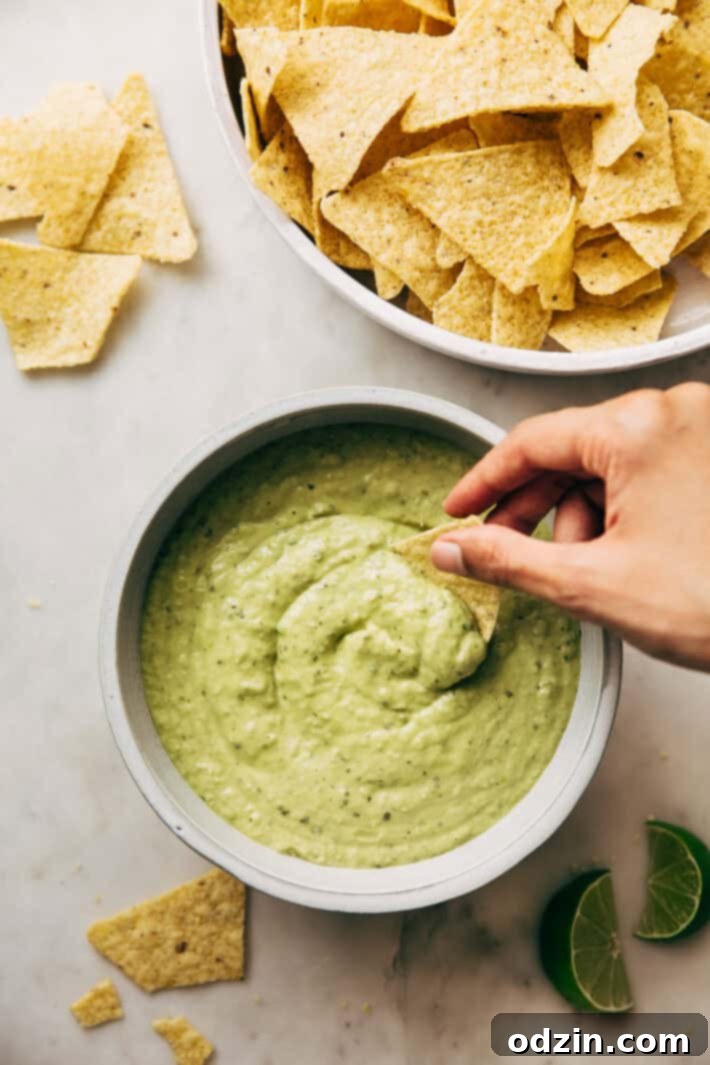 Creamy Guacamole Salsa - An easy avocado dip that tastes just like Mama Ninfa's Green Sauce. Serve with chips or dollop on tacos! #greensauce #mamaninfas #avocadodip #guacamolesalsa | Littlespicejar.com Creamy Guacamole Salsa - An easy avocado dip that tastes just like Mama Ninfa's Green Sauce. Serve with chips or dollop on tacos! #greensauce #mamaninfas #avocadodip #guacamolesalsa | Littlespicejar.com