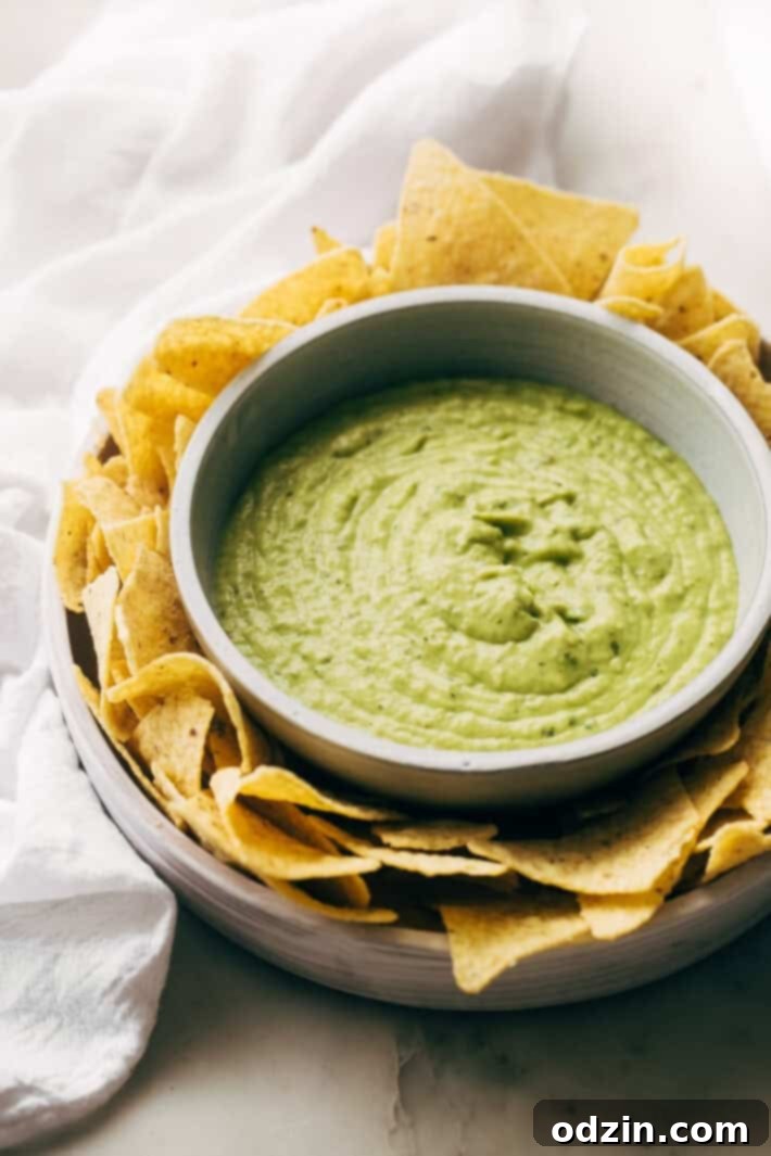 Creamy Guacamole Salsa - An easy avocado dip that tastes just like Mama Ninfa's Green Sauce. Serve with chips or dollop on tacos! #greensauce #mamaninfas #avocadodip #guacamolesalsa | Littlespicejar.com Creamy Guacamole Salsa - An easy avocado dip that tastes just like Mama Ninfa's Green Sauce. Serve with chips or dollop on tacos! #greensauce #mamaninfas #avocadodip #guacamolesalsa | Littlespicejar.com