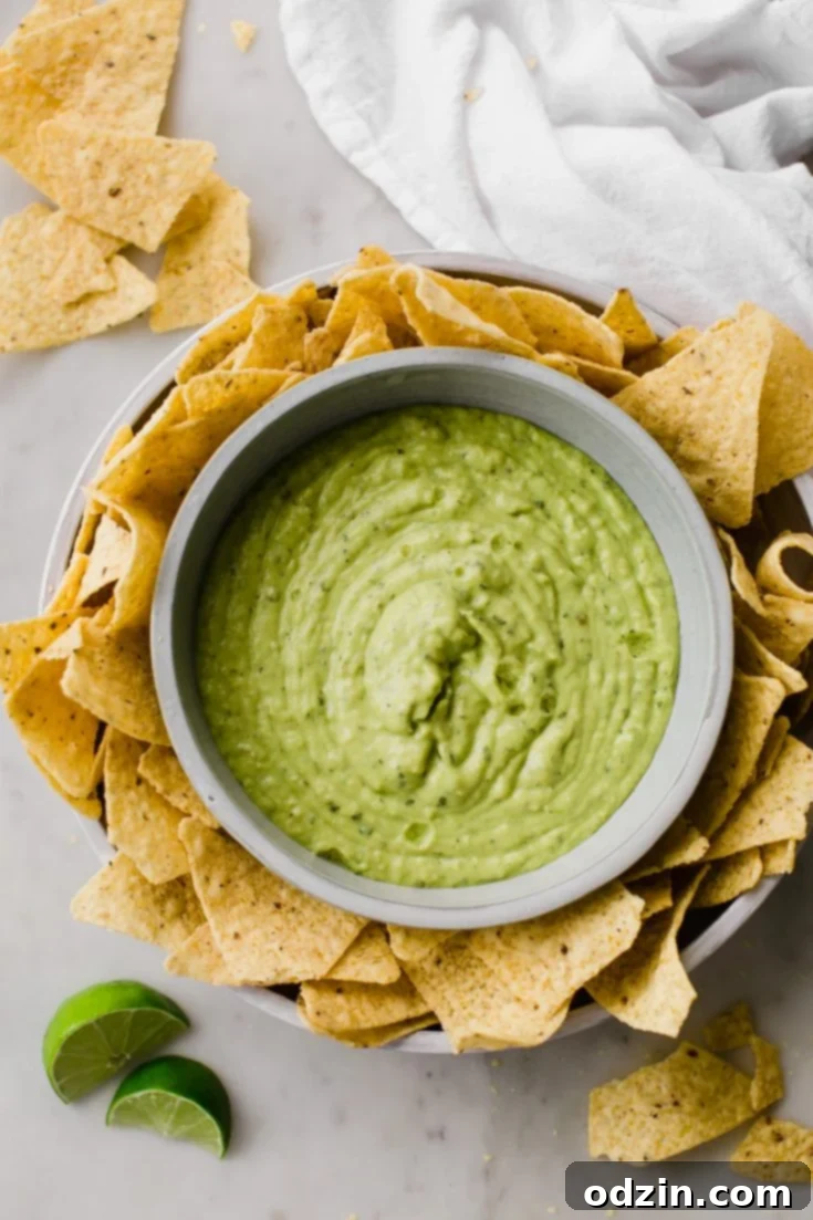 Creamy Guacamole Salsa (like Mama Ninfa's)