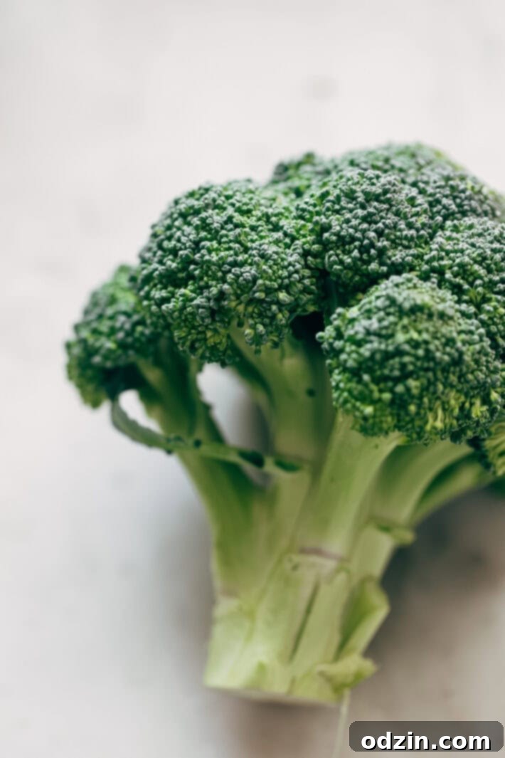 Best Easy Broccoli Beef Stir Fry Recipe - the easiest recipe that takes in the ballpark of 30 minutes to make and tastes better than takeout! #beefandbroccoli #broccolibeef #broccolibeefstirfry #stirfry #takeout | Littlespicejar.com