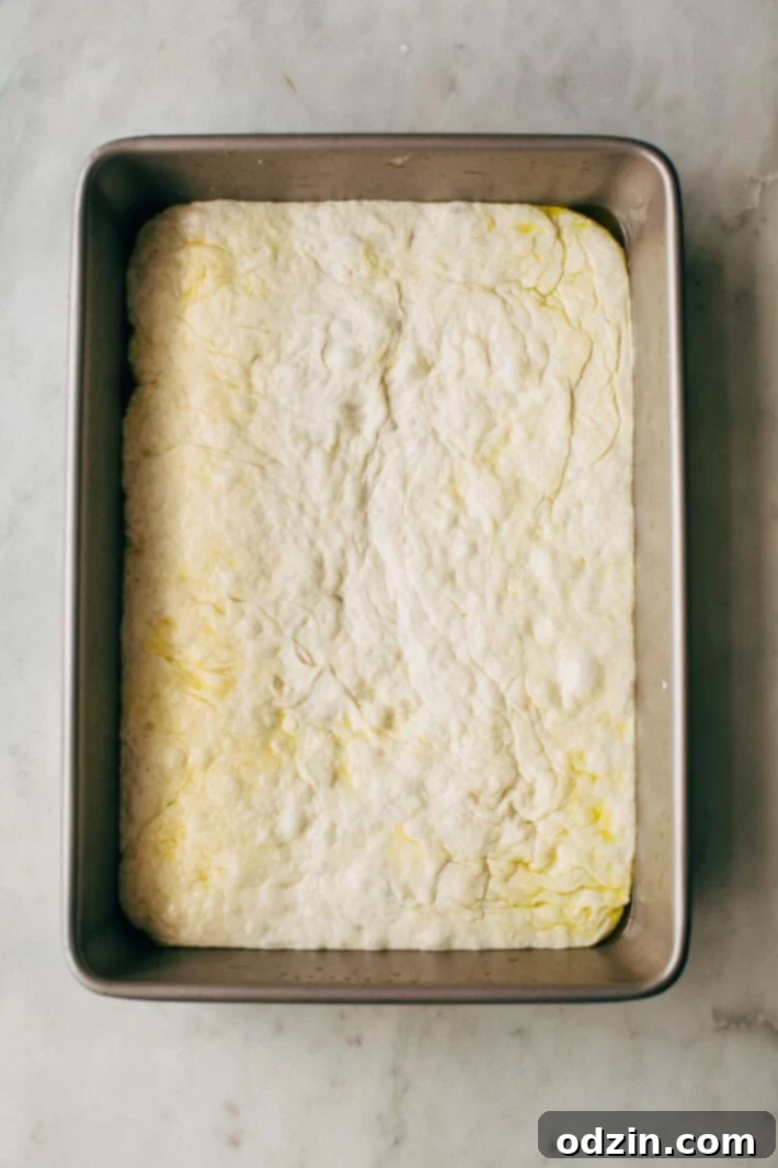 Supreme Detroit-Style Pizza - Homemade Detroit-Style pizza with the best crispy, butter dough! It's almost like focaccia bread with pizza toppings on top! #detroitpizza #detroitstylepizza #homemadepizza #pizza | Littlespicejar.com Supreme Detroit-Style Pizza - Homemade Detroit-Style pizza with the best crispy, butter dough! It's almost like focaccia bread with pizza toppings on top! #detroitpizza #detroitstylepizza #homemadepizza #pizza | Littlespicejar.com