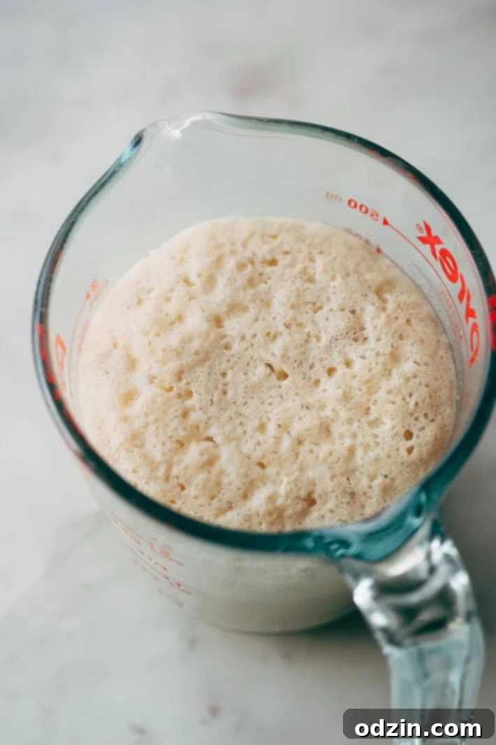 Closeup of Cheddar Jalapeño Soft Pretzel dough with visible jalapeño pieces.