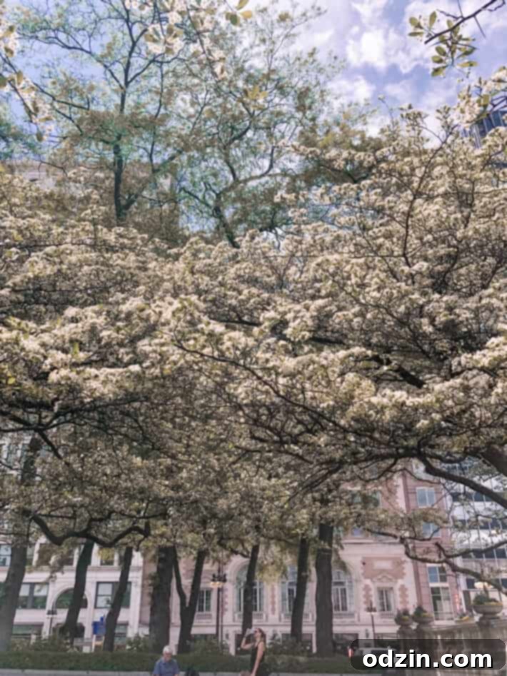 A close-up of a Chicago mural with intricate details