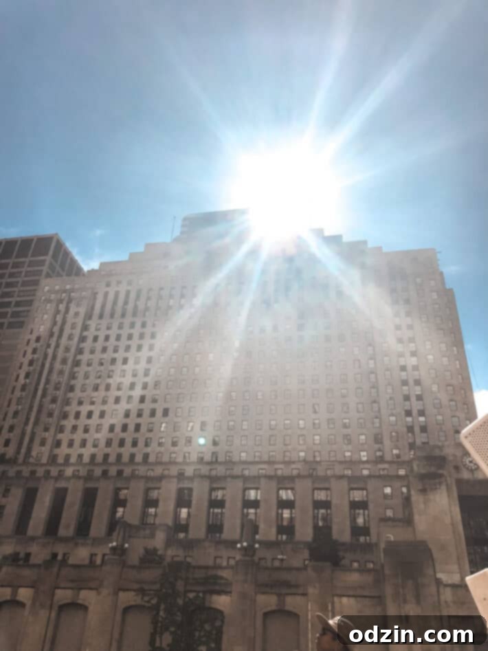 Vibrant public art installation in a Chicago park