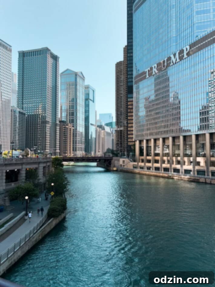 A picturesque view of a tree-lined street in Chicago