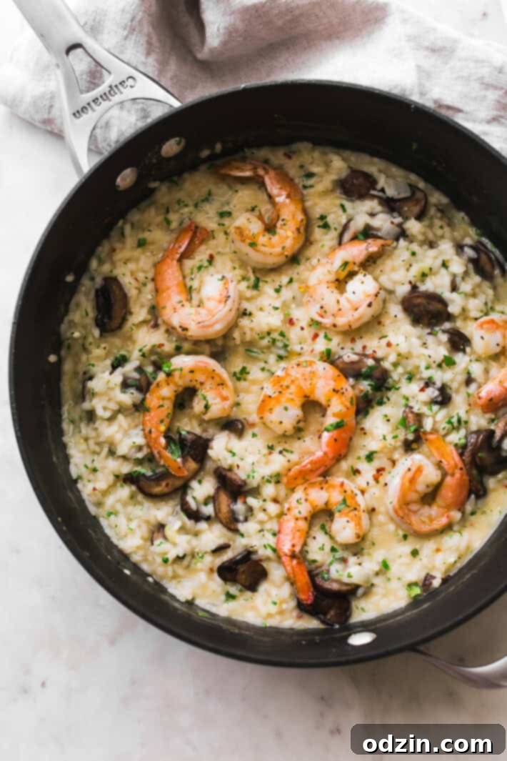 Mushroom Parmesan Shrimp Risotto - Learn how to make shrimp risotto at home with ease! Loaded with sautéed mushrooms, shrimp and tons of garlic! #shrimprisotto #mushroomrisotto #parmesanrisotto #homemaderisotto | Littlespicejar.com