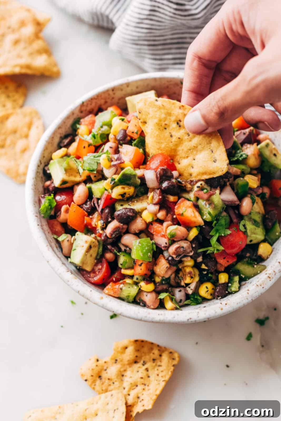 tortilla chip picking up dip from speckled bowl