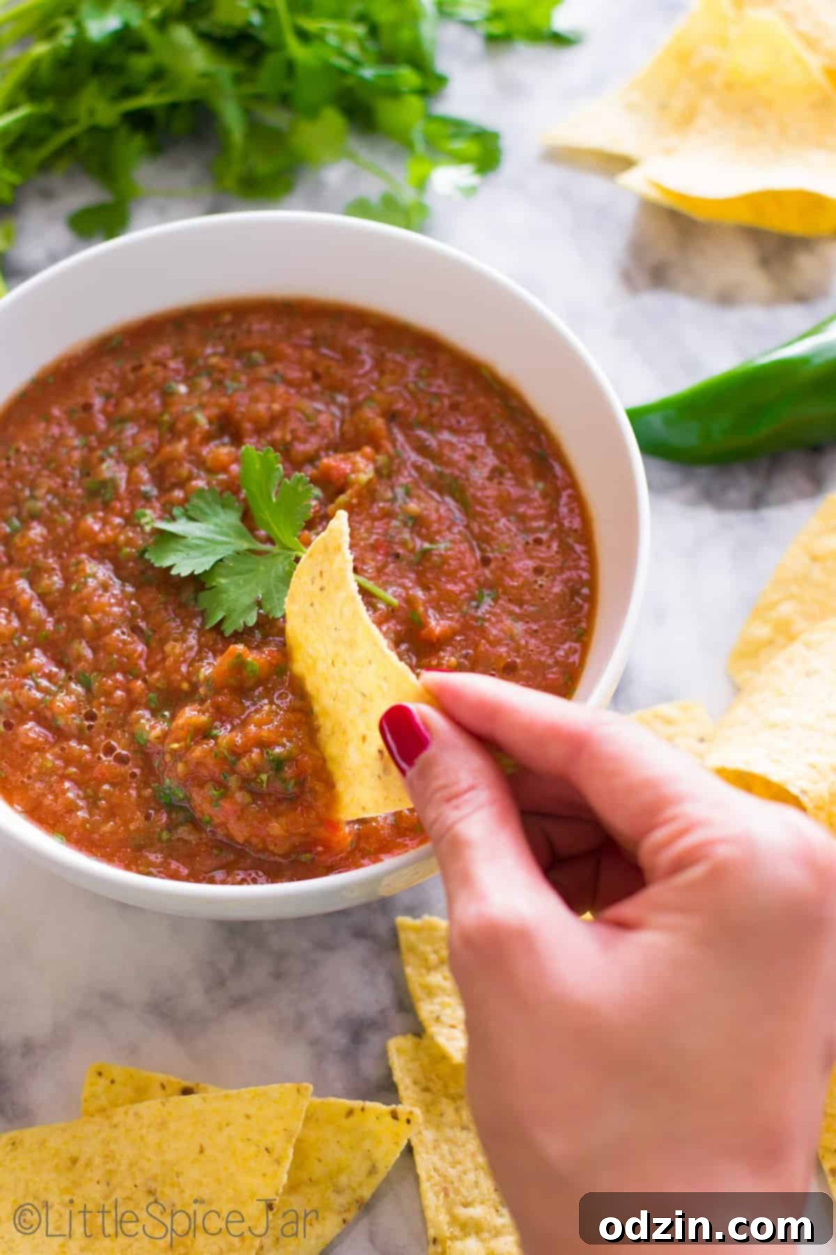 Close-up of Restaurant Style Fire Roasted Salsa in a white bowl with a spoon