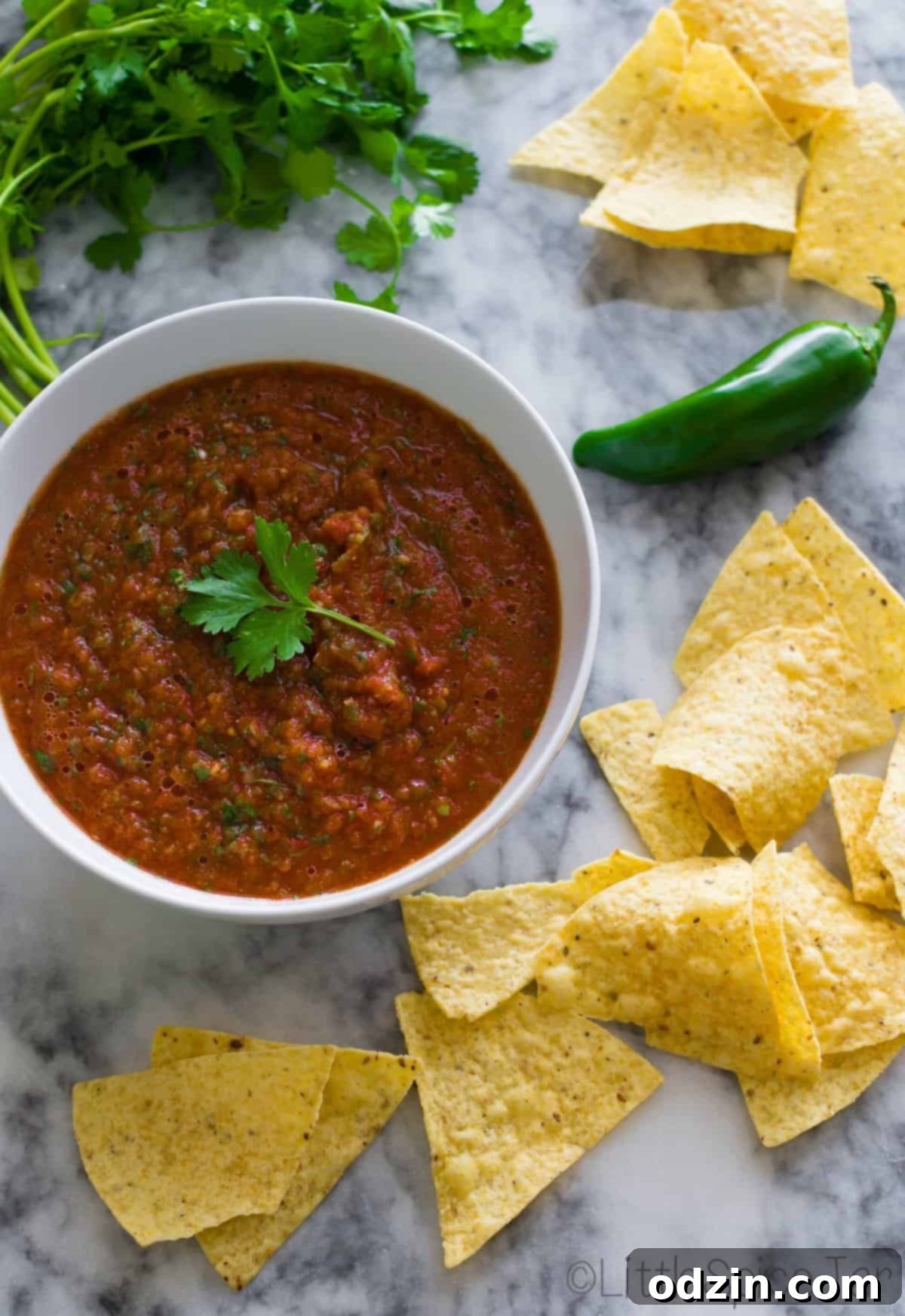 Two bowls of Restaurant Style Fire Roasted Salsa, one with chips and another close-up
