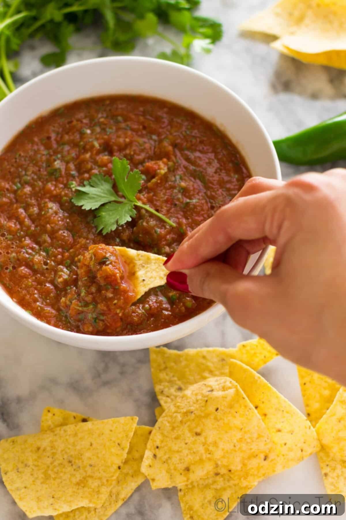 Ingredients for Restaurant Style Fire Roasted Salsa arranged around a bowl