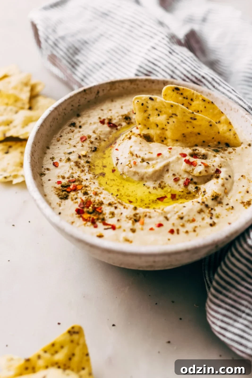 hummus in speckled bowl with zaatar and red pepper flakes on top with tortilla chips