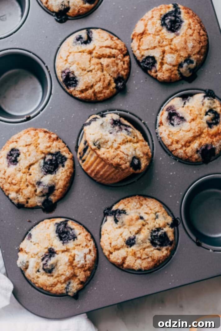 blueberry muffins in muffin pan
