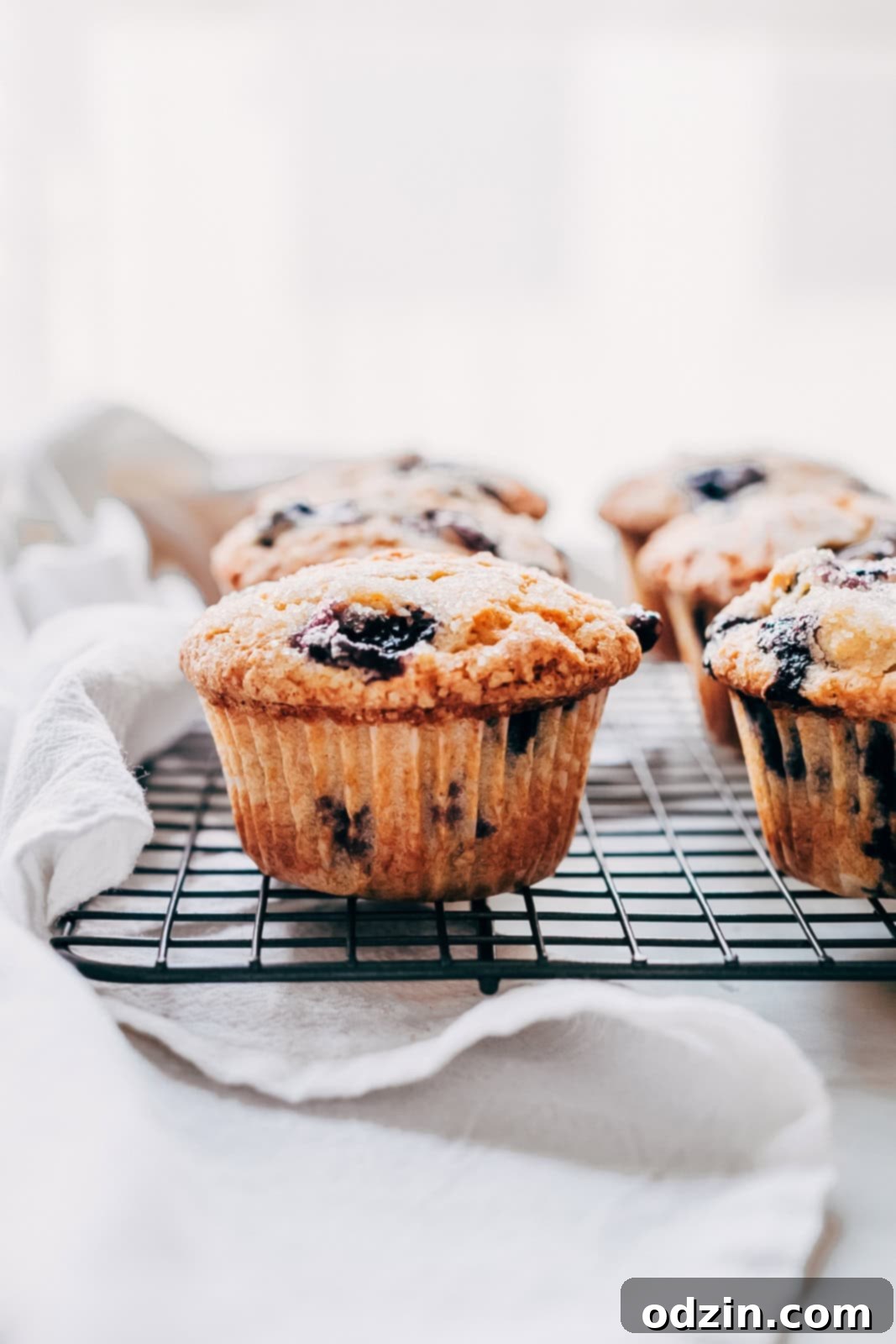 gluten-free blueberry muffins in muffin liners on wire rack