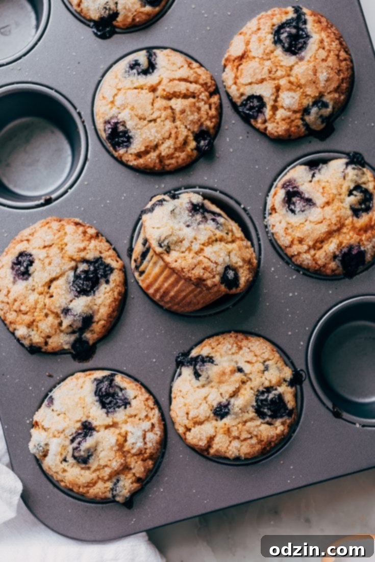 Outrageous Gluten-Free Blueberry Muffins