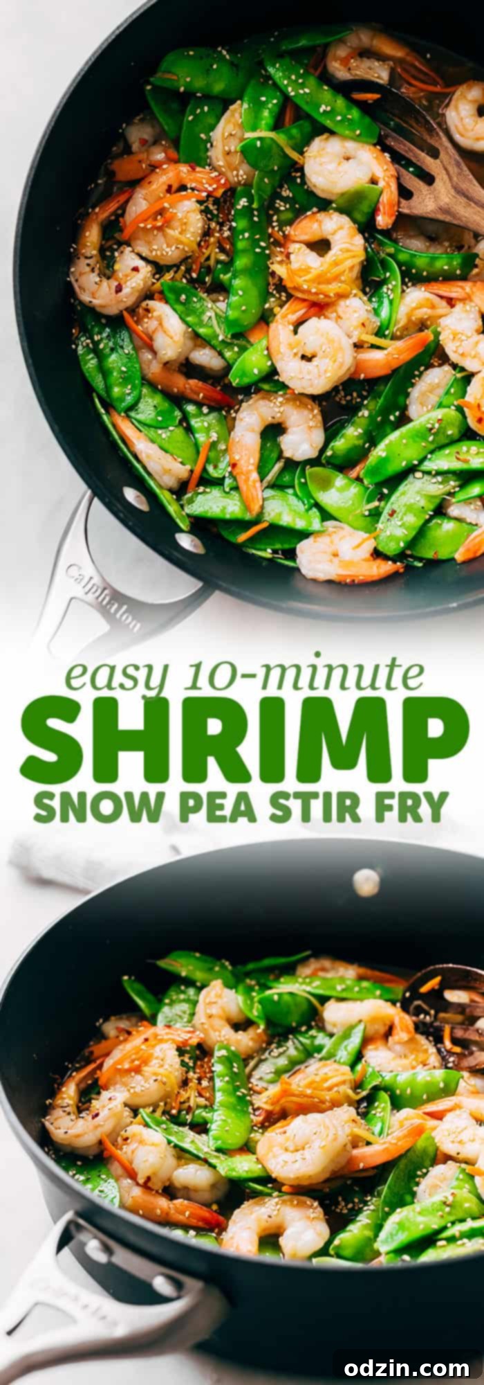 two images combined with text created for the sole purpose of pinning on Pinterest: '10-Minute Ginger Shrimp Snow Pea Stir Fry Recipe - A quick and easy dinner that you can put together tonight! Perfect for meal prep or a quick dinner during the week | littlespicejar.com'