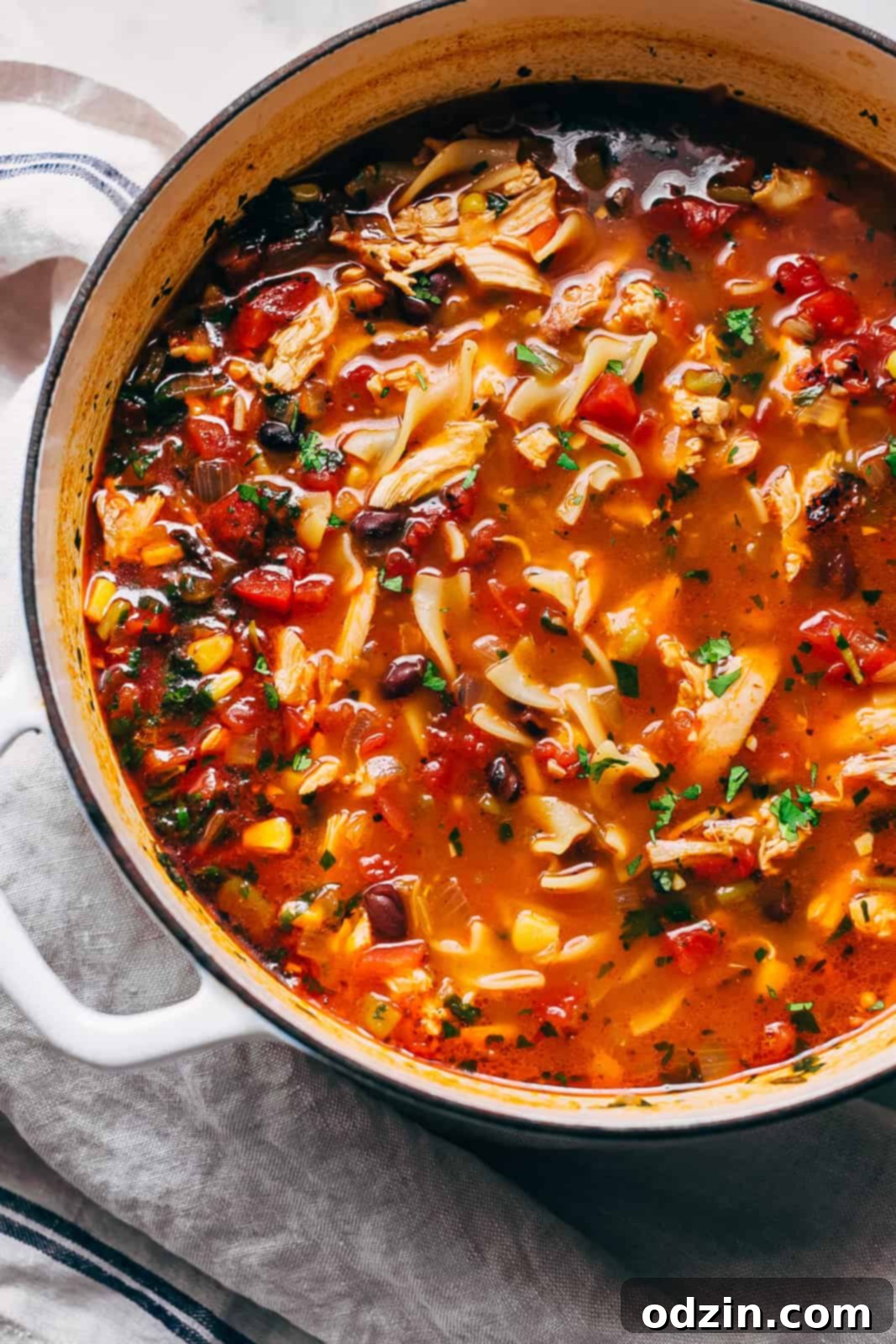 A rustic cast iron pot brimming with freshly prepared Mexican chicken noodle soup, showcasing the rich broth and colorful ingredients.