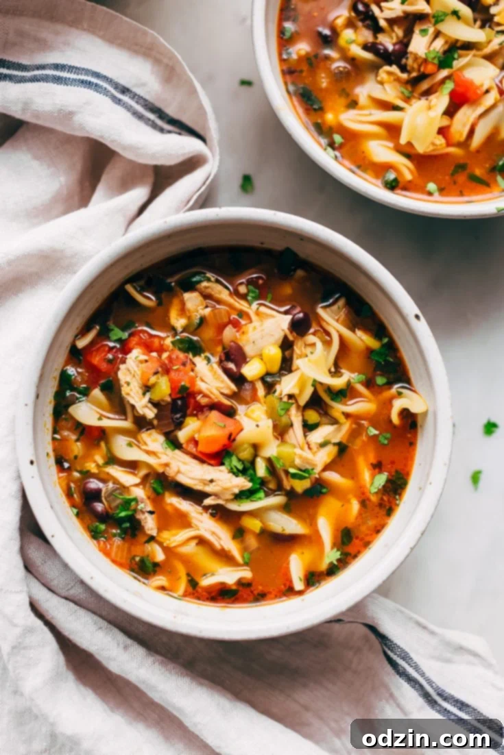 Mexican Chicken Noodle Soup