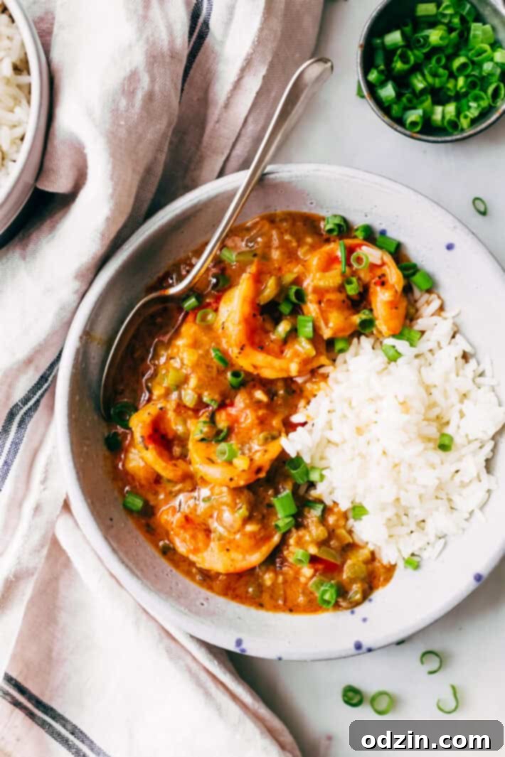 Spicy Cajun Shrimp Etouffee 2 bowl of prepared shrimp étouffée in speckled bowl with rice topped with chopped scallions