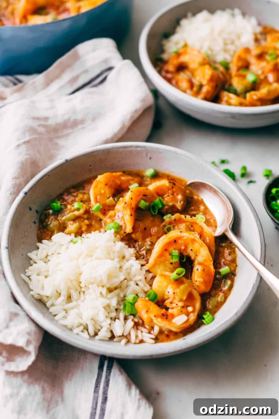 Spicy Cajun Shrimp Etouffee 3 shrimp étouffée bowls with rice on white marble